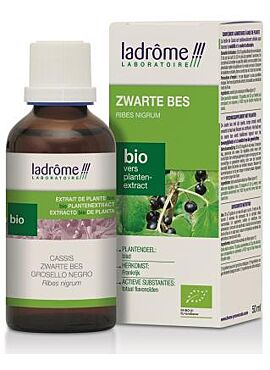 LDP Zwarte Bes / Cassis tinctuur 50ml